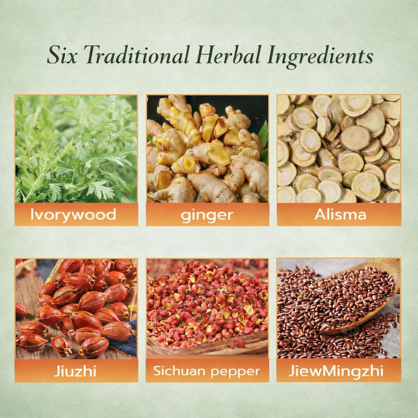 Juixie® Herbal Balance Patch — Japanese Kampo Formula